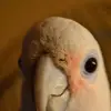 Barbara Braun - @user3324450225831 - TikTok