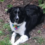 Barbara Brenneman - @deezmom0508 - Instagram