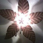 Barbara Bricker Marrucca - @brickerbarbara - Instagram