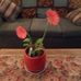 Barbara Brink - Facebook