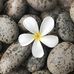 Barbara Brinkman Perry - Facebook