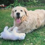 BB - @barbara.brinkmann1 - Instagram