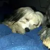 Barbara Britt - @barbara.britt3 - TikTok