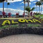 Barbara Bromley - @maalaea - Instagram