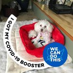 Barbara Brookshire - @bbrookshire770 - Instagram
