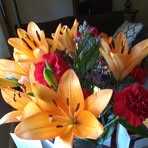 Barbara Brundage - Facebook
