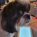 Barbara Bryant - Facebook