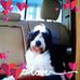 Barb Bublitz - Facebook