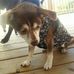 Barbara Buisson - Facebook