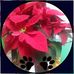 Barbara Bukala - Facebook