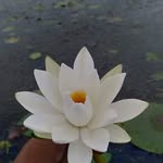Barbara Bulić - @kieub96385 - Instagram
