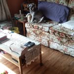 Barbara Bulmer - @barbara.gord.bulmer - Instagram