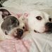 Barbara Herbert Bulmer - Facebook