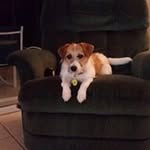 Barbara Mcgovern Bunker - @barbaramcgovernbunker - Instagram