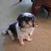 Barbara Bunn - @barbara.bunn - TikTok