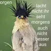 ich bin ich - @barbarabunn788 - TikTok
