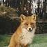 Barb Bunnell - Facebook