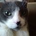 Barbara Bunnell - Facebook