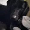 lulu33 - @barbara.bunta - TikTok