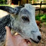 Barbara Stock Burbank - @burbank809 - Instagram