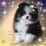 Barbara Swelander-Burbank - @baburbank2010 - Instagram