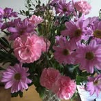 Barbara Burbidge - Facebook