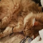 Barbara Burch - @bur1278 - Instagram