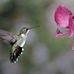 Barbara Burchett - Facebook