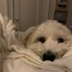 Barbara Burchett - @barbara.burchett - Instagram