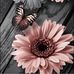 Barbara Burchfield VanVoorst - Facebook