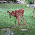Robert and Barbara Burgett - @bob1948burg - Instagram