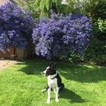 Barbara Burgin - @barbarajburgin - Instagram