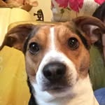 Burini B Barbara - @barbaraburini - Instagram