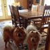 Barbara Burks - Facebook