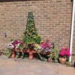 Barbara Burling - @burlingbarbara - Instagram