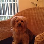 Barbara Burling-Perkins - Facebook