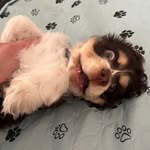 Barbara Burlingame - @burlingame.barbara - Instagram