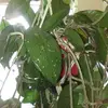 Barbara Burlingham - @barbara.burlingha6 - TikTok