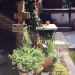Barbara Burney - @burney_barbara - Instagram
