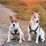 Barbara Burnham - @barbaraburnhamphotography - Instagram