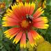 Barbara M. Burnham - Facebook