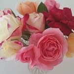 Barbara Burrell - @burrell.barbara - Instagram