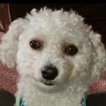 Barbara Burrell - @barbara.burrell.752 - Instagram