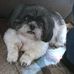 Bobbie Burrell - Facebook