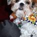 Barbara Burrow - Facebook