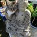 Barbara Burrowes - Facebook