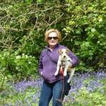 Barbara Burrowes - @bur_barbara - Instagram