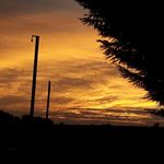 Barbara Burrows - @burrows374 - Instagram