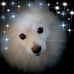 Barbara Burrows - Facebook