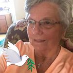 Barbara Burson - @sdrvwxi356 - Instagram
